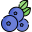 blueberry