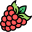 rasberry